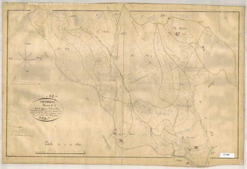 Section C dite du Peigneaux, feuille n°1 (parcelles 1-243).