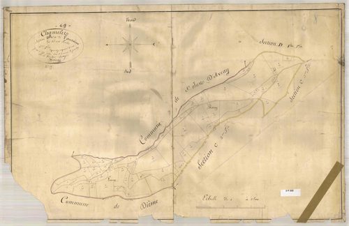 Section D dite de l'Antoine, feuille n°2 (parcelles 218-277).
