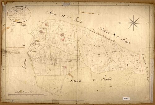 Section B dite du Robert, feuille n°1 (parcelles 1-393).