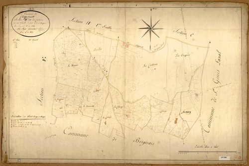 Section D dite des Cartières, feuille unique (parcelles 1-234).