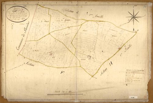 Section G dite de Millon, feuille n°2 (parcelles 235-433).