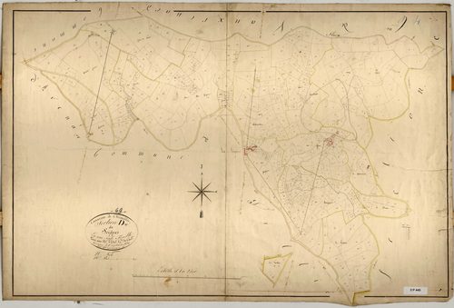 Section D dite du Seigne, feuille unique (parcelles 1-470).