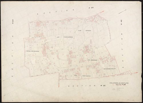 Section AE. Plan établi pour 1955.