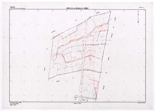Section ZA. Plan minute établi en 1984.