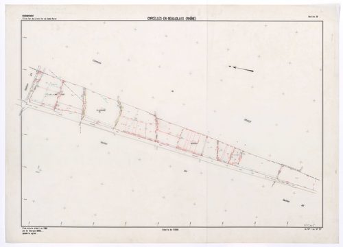 Section ZB. Plan minute établi en 1984.