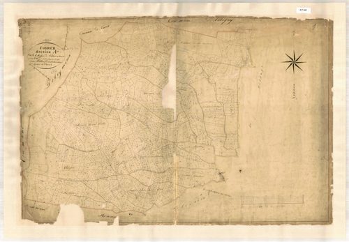 Section A dite la montagne de Moletant et Vinouve, feuille unique (parcelles 1-957).