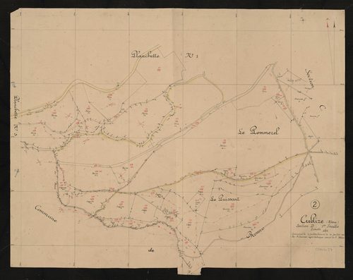 Section D 1ère feuille. Levé effectué du 10 au 31 juillet 1944 : planchette n°2.