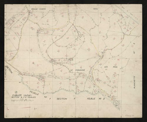 Verso : section A 1ère et 2e feuilles. Levé effectué du 1er juillet au 19 août 1946 : planchette n°2.