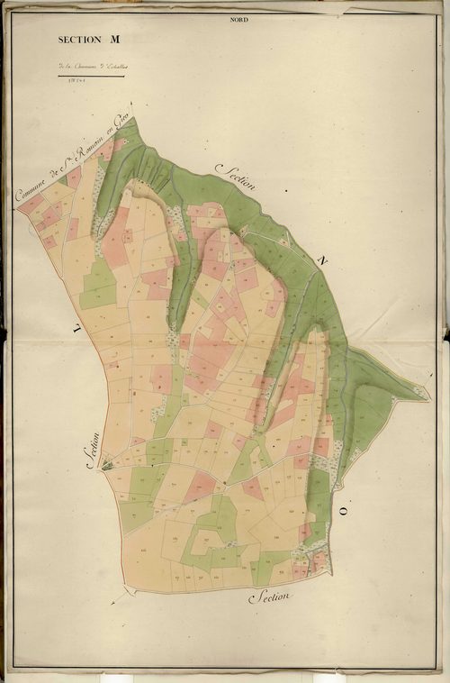 Section M, feuille unique (parcelles 1-321).