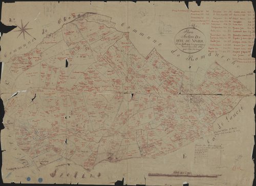Plan préparatoire (fond de plan napoléonien). Section D dite du Vivier feuille unique.