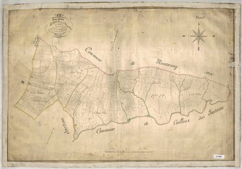 Section A dite de Champ Blanc, feuille unique (parcelles 1-484).