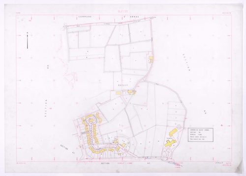 Section AE. Plan remanié pour 1991.