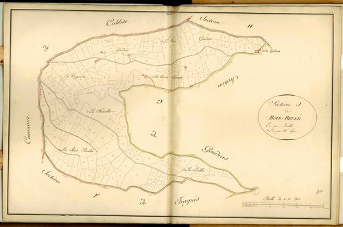 Section I dite des Bois Beulés, feuille unique.