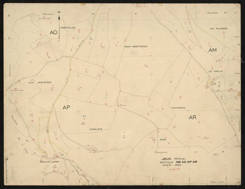 Recto : sections AM, AO, AP, AR. Planchette n°13.
