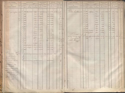 État de sections et matrice des propriétés foncières.
