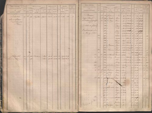 État de sections et matrice des propriétés foncières.