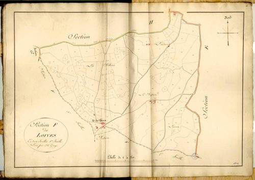 Section F dite des Loives, feuille n°1 (parcelles 1-170).