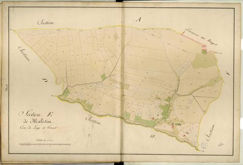 Section E dite de Maloson, feuille unique : section attribuée à Trèves en 1849 excepté une partie attribuée à Longes.