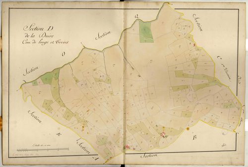 Section D dite de la Duire, feuille unique : section attribuée à Trèves en 1849.
