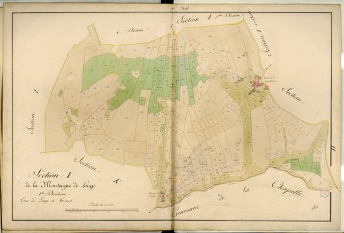 Section I dite de la Montagne de Longes, feuille n°1 : section attribuée à Longes en 1849.