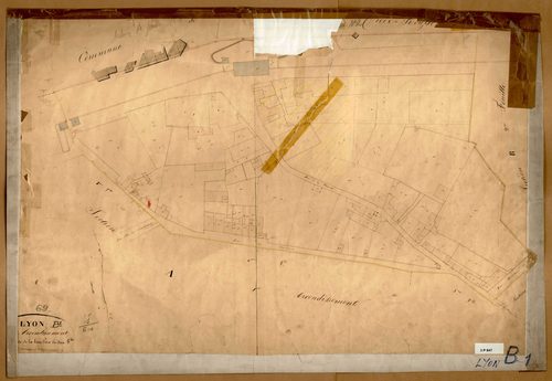 Section B dite de la Tour Pitra, feuille n°1 (parcelles 1-79).