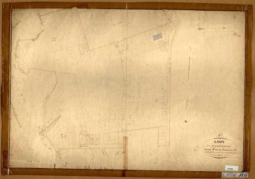 Section A dite des Chartreux, feuille n°6 (parcelles 438-487).