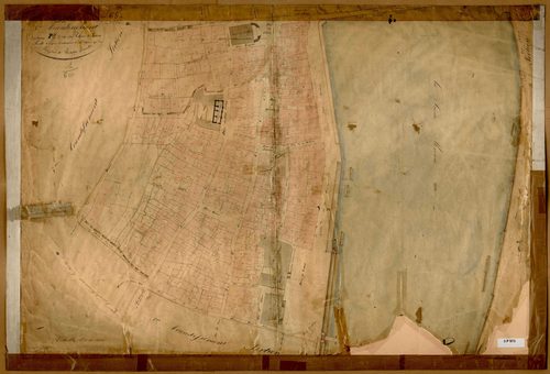 Section P dite du Palais de Justice, feuille unique (parcelles 1-334).