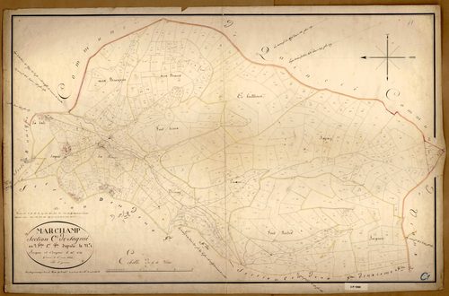 Section C dite de Sagnié, feuille n°1 (parcelles 1-626).