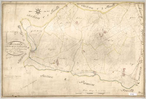 Section D dite de Champ-Long, feuille unique (parcelles 1-613).