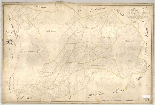 Section B dite de Saint-Rigaud, feuille n°2 (parcelles 307-752).