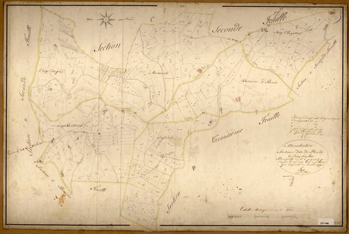 Section C dite de Pontu, feuille n°1 (parcelles 1-294).