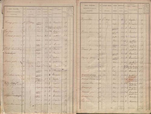 État de sections.