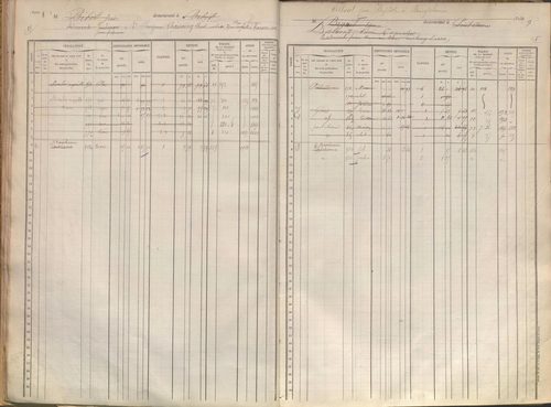 État de sections et matrice des propriétés foncières.