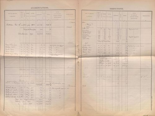 État de sections et matrice des propriétés foncières.