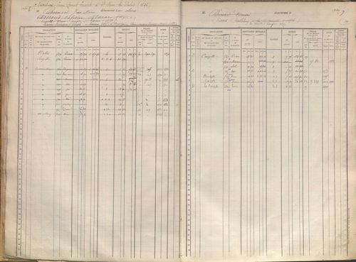 État de sections et matrice des propriétés foncières.