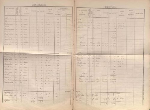 État de sections et matrice des propriétés foncières.