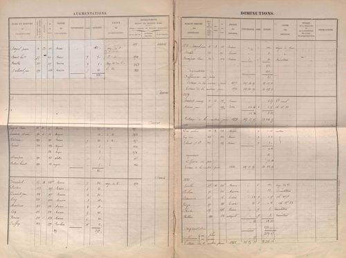 État de sections et matrice des propriétés foncières.
