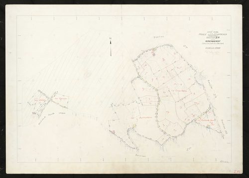 Section ZR.