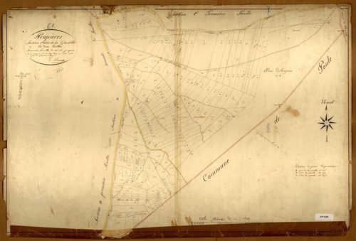 Section C dite de la Gardette, feuille n°2 (parcelles 356-550).