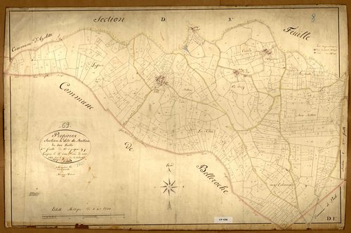 Section D dite de Botton, feuille n°1 (parcelles 1-566).