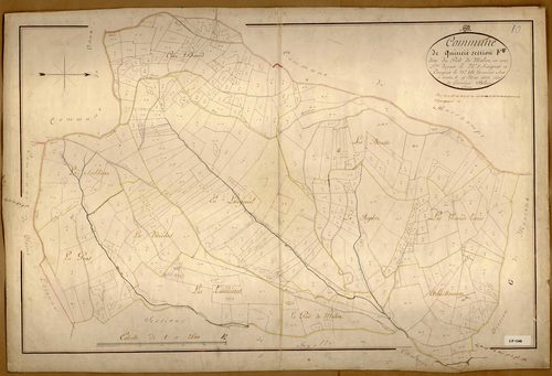 Section F dite du Pied de Molon, feuille unique (parcelles 1-451).