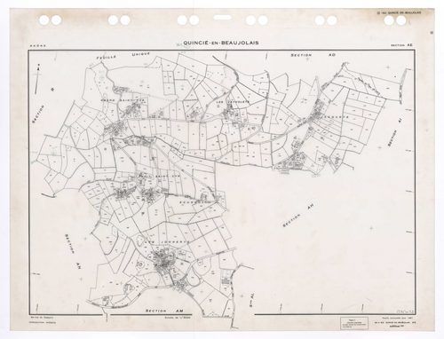 Section AE. Feuille renouvelée pour 1961. Edition à jour pour 1993.