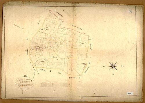 Section E dite des Billy, feuille n°2 (parcelles 274-497).