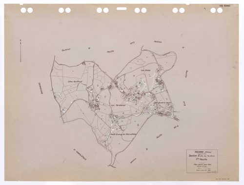 Section E dite des Tardières 1ère feuille. Plan révisé pour 1944. Edition à jour pour 1985.
