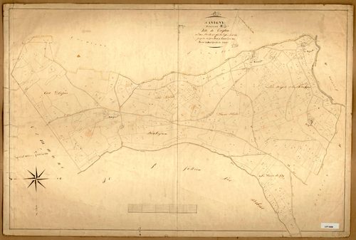 Section E dite de Taylan, feuille n°2 (parcelles 459-771).