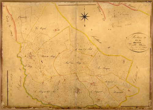 Section D dite du Ressy, feuille n°3 (parcelles 1-551).