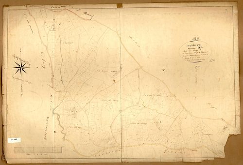 Section D dite du Ressy, feuille n°1 (parcelles 1-310).