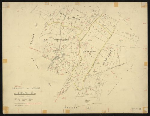 Section AI : parcelles n° 24, 27-28, 58-65, 69-70, 72, 81-83, 163-167, 170-175, 179-183, 212-268. Levé effectué du 1er juillet au 10 août 1962 : planchette n° 21.