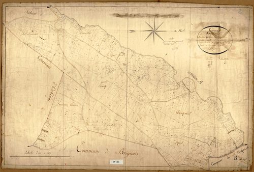 Section B dite des Acqueducs, feuille unique (parcelles 1-568).