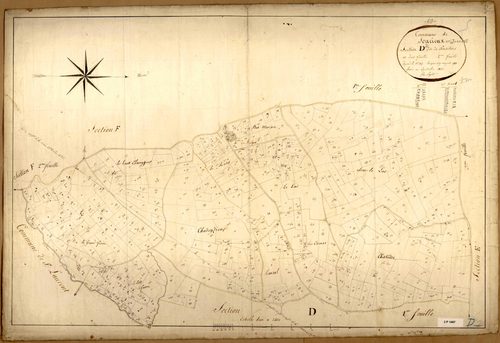 Section D dite de Prasétoux, feuille n°2 (parcelles 525-981).